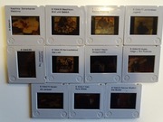 Slajdy 11 szt. obrazy z jakiegoś muzeum MALARSTWO nr. 11