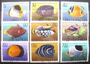 Fauna ryby 1600 - 1608   