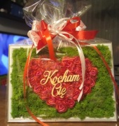 Obrazek A4 mech chrobotek i róże