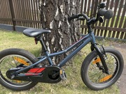 Rower Giant Animator 16