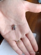 zawieszka charms kot Cheshire kotek Alicja kraina czarów Disney srebro 925