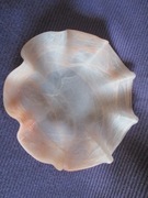 "VINTAGE  PATERA ZE SZKŁA   ARTYSTYCZNEGO Z FALISTYM BRZEGIEM