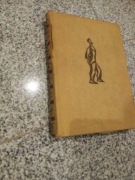 Książka  Szerszeń" autorstwa Ethel Lilian Voynich