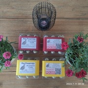 Jaja jajka przepiórcze spożywcze 5 wytłaczanek