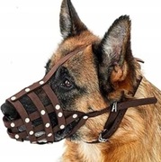 COLLARDIRECT KAGANIEC DLA PSÓW 1 SZT. ROZMIAR M 