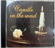VA Candle in the wind