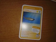 Najdziwniejsze Narwal Jednozębny nr 68 Super Zwierzaki Biedronka