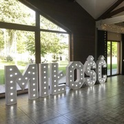 Wynajmę napis MIŁOŚĆ drukowany duży wesele !! 2023