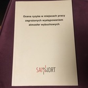 Ocena ryzyka w miejscach pracy zagrożonych występowaniem atmosfer wybuch...