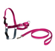  PetSafe Easy Walk Szelki ze smyczą r. M