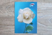 Pocztówka Wyborcza LPR Liga Polskich Rodzin Roman Giertych