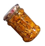 Kurka Marynowana *315ml* 2025