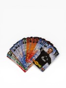 Zestaw Kart Panini Champions League 2010/2011