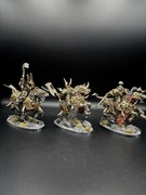 Varanguard Slaves to Darkness Age of Sigmar Pomalowane