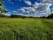 Działka 1,5 ha z planem zagospodarowania w Dobrem