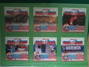 Vlepki Górnik Zabrze