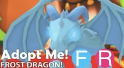 Frost dragon FR Adopt Me!