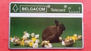 BELGIA  / STARA / - Karta telefoniczna  /  303 M  /  Niski nakład