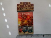 Magnes na lodówkę - 759g. SRI LANKA Ceylon 