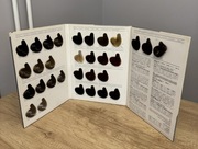 Wzornik paleta kolorów Elgon 10 min 