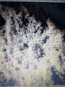 Popiół drzewny nawóz naturalny