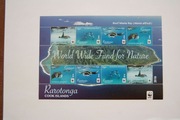 Rarotonga Sw 50-53** manta - wwf /ms/