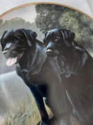 Franklin Mint Limitowany talerz porcelana Labrador