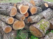 Drewno owocowe do wędzenia wiśnia śliwka jabłoń grusza 15kg 60L kawałki