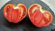 Kolekcjonerskie nasiona Pomidora Macedonian Beef Heart 