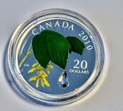 Liść Klonu/Kropla deszczu - 20$, Kanada - 2010, Piękna moneta srebrna