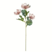 Sztuczny kwiat Protea w kolorze różowym 66 cm