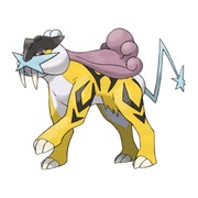 POKÉMON SHINY RAIKOU 100lvl.