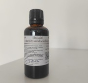 Ekstrakt roślinny z czosnku niedźwiedziego 100 ml