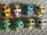 Lps Littlest Pet Shop zestaw Ptaki