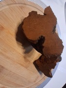 Błyskoporek chaga  czaga