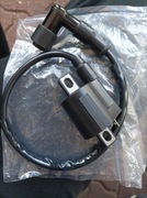 Cewka zapłonowa Moretti