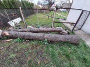 Drewno Kłoda Daglezja 2 szt Razem 7m tarcica opał