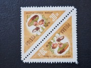 949 TE-BE (*) Grzyby 1959r.