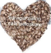 Konopia ziarno cale niełuskane mielone 20g