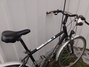 Rower meski kross continental.