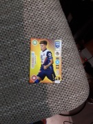 Karta piłkarska fifa365