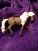 Schleich - klacz Rocky Mountain z 2018