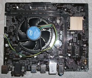 Płyta ASUS H110M-K z procesorem i3-6100 3.7 GHz