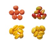 Sztuczne owoce mango, mandarynki, karambole