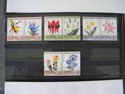 Grenadines of St. Vincent.