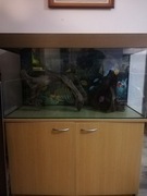 Akwarium 240 litrow