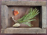 Amanita muscaria Muchomor czerwony Dekoracja Gablotka Hand made