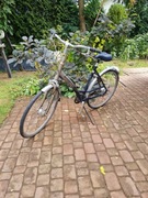 Rower damski Batavus greenparks 28 cali