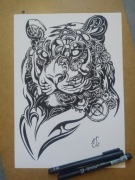 Rysunek: tygrys - cienkopis, blok t. A4 250 g/m2