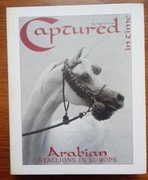 Captured in Time - Arabian Stallions in Europe - Grasso 1997